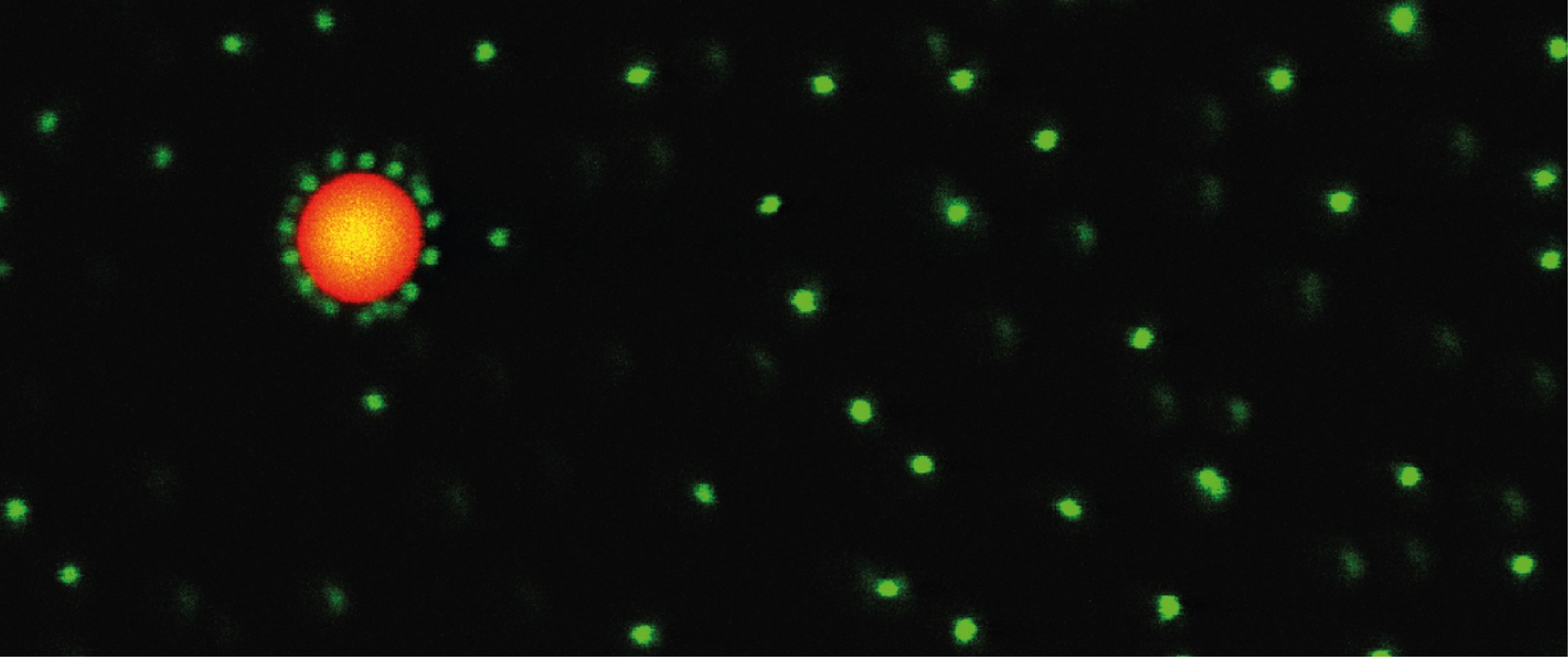 Module 4: Dynamics of interacting cell-material systems